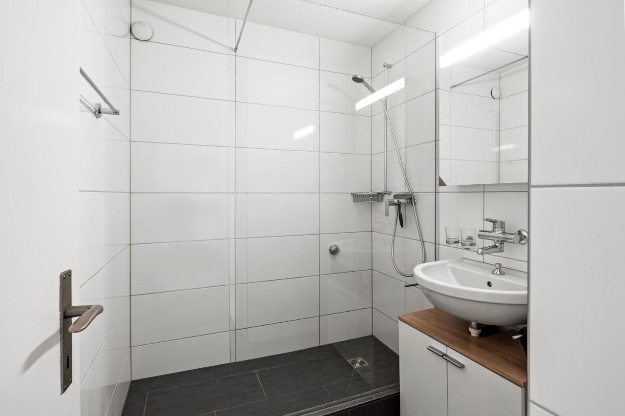 Spacious-excellent Connection-parking-washer Homestay Winterthur