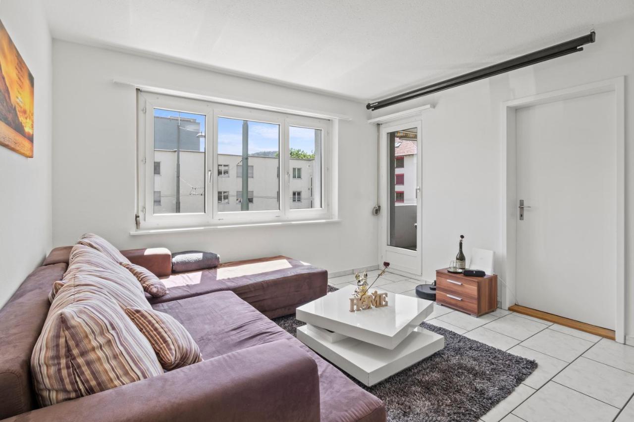 Homestay Spacious-excellent Connection-parking-washer Winterthur