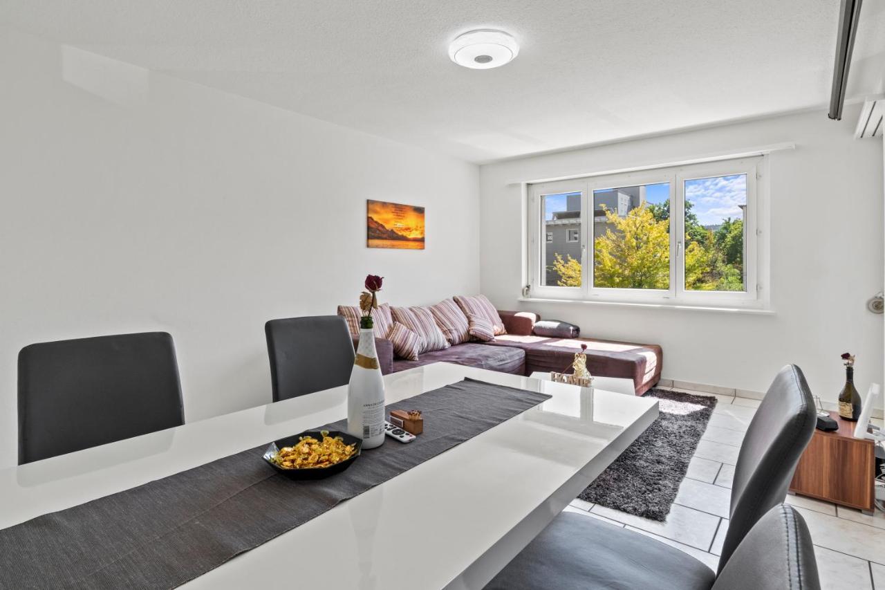 Homestay Spacious-excellent Connection-parking-washer Winterthur