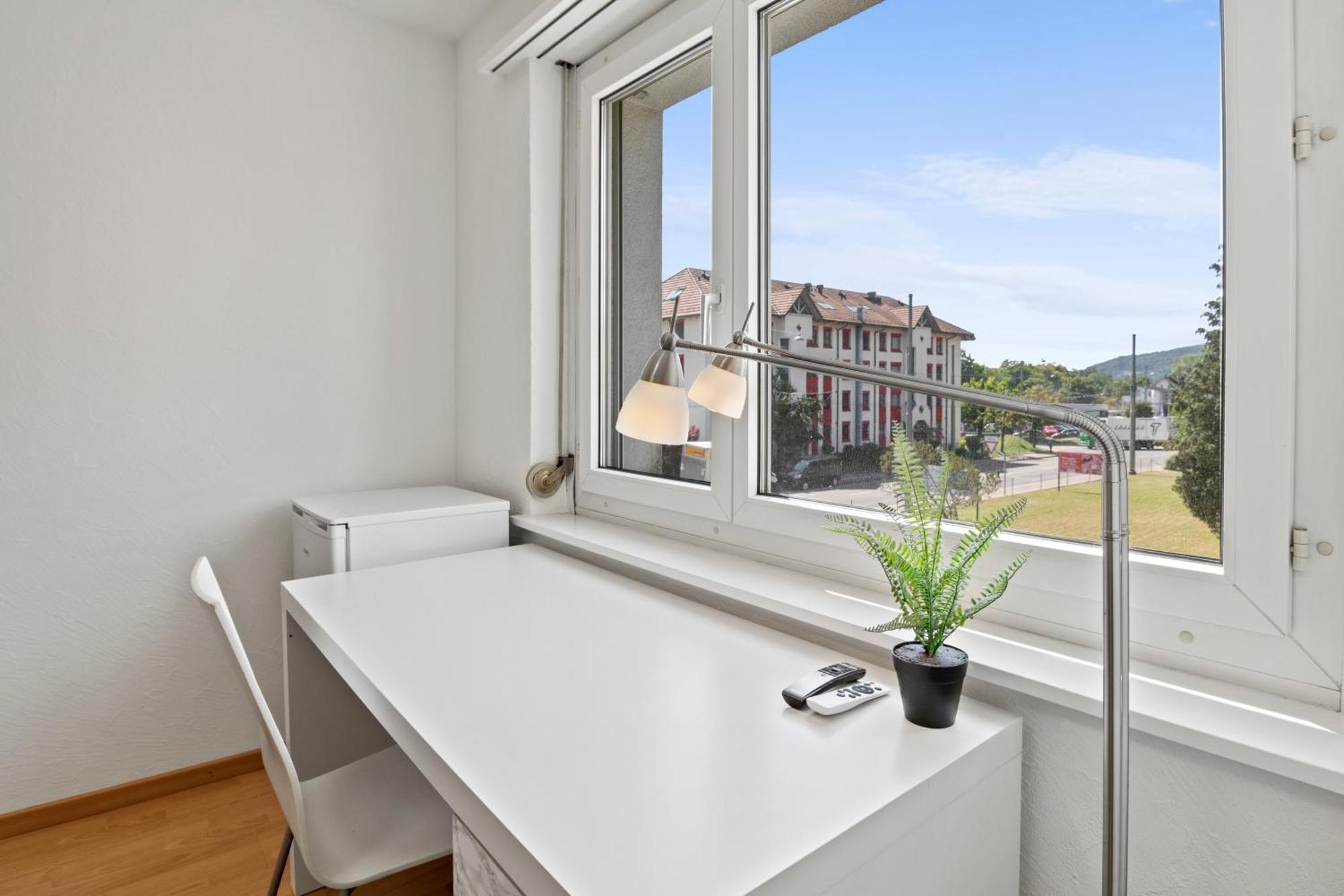 Homestay Spacious-excellent Connection-parking-washer Winterthur