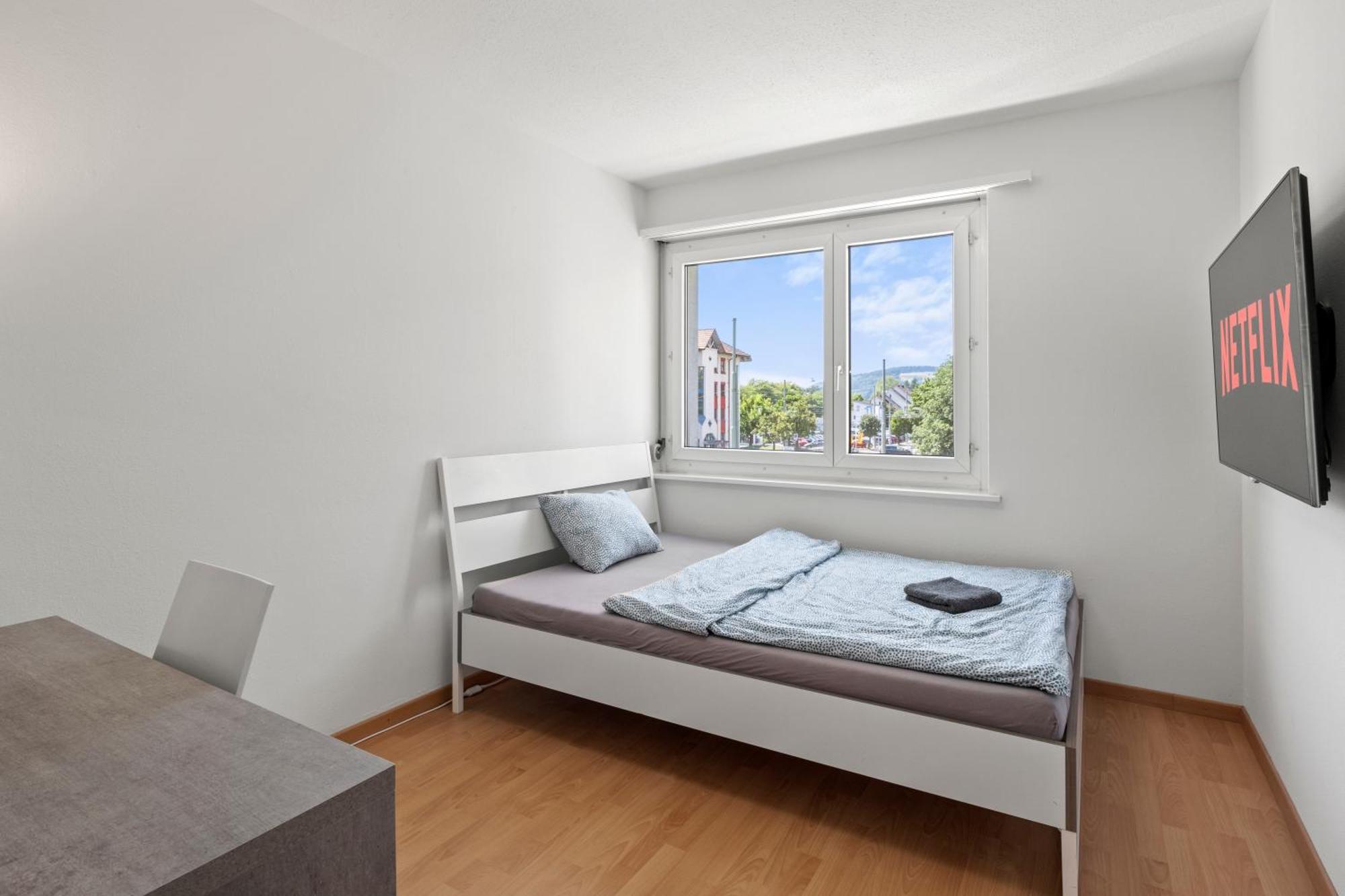 Spacious-excellent Connection-parking-washer Homestay Winterthur